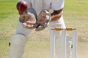 Gully Cricket