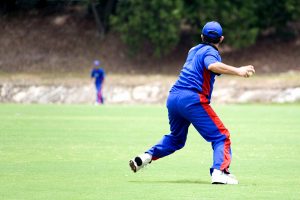 AB de Villiers Catch IPL