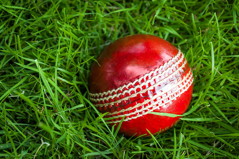 What Is the Weight of a Cricket Ball?