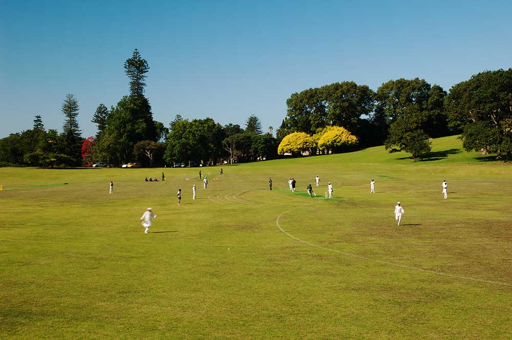 English Cricket Joins Football Protest of Player Abuse