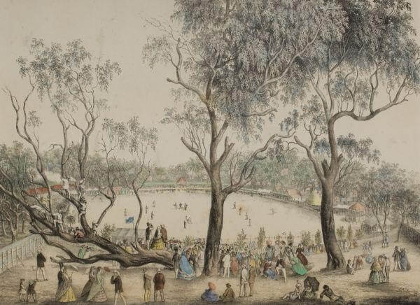 History of Cricket in Australia