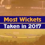 Most Wickets Taken in 2017