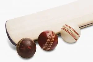 Yorker in Cricket