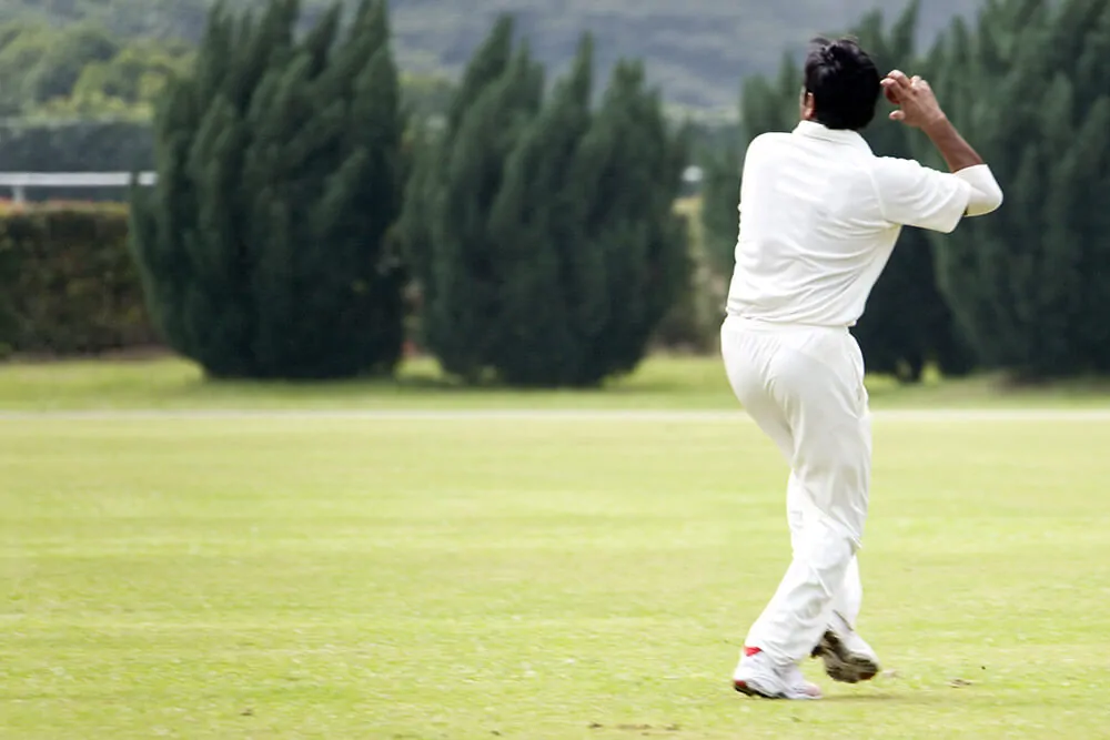 Most Wickets in a Single Test Match